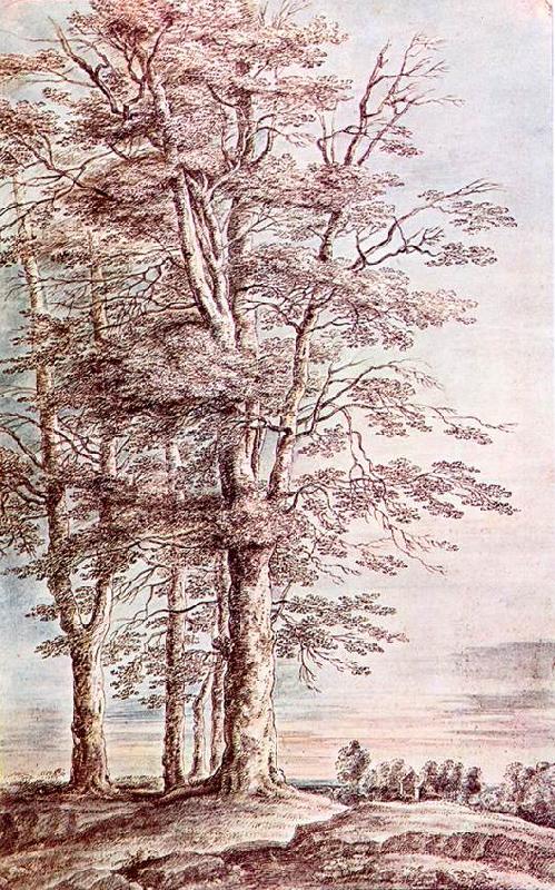 UDEN, Lucas van Landscape with Tall Trees dg oil painting picture